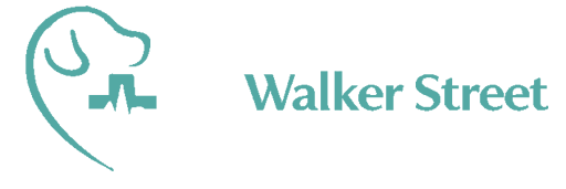 Fraser Coast Veterinary Services logo