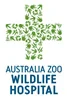 Australia Zoo Wildlife Hospital logo