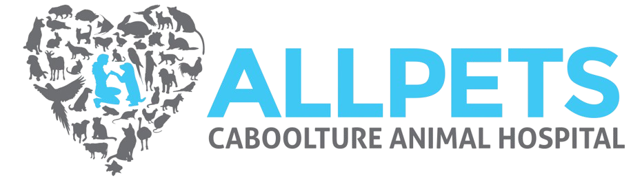 Allpets Caboolture Animal Hospital logo