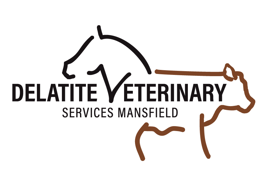 Delatite Veterinary Services logo
